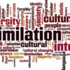 Culture and the Assimilation of Ethnic Groups